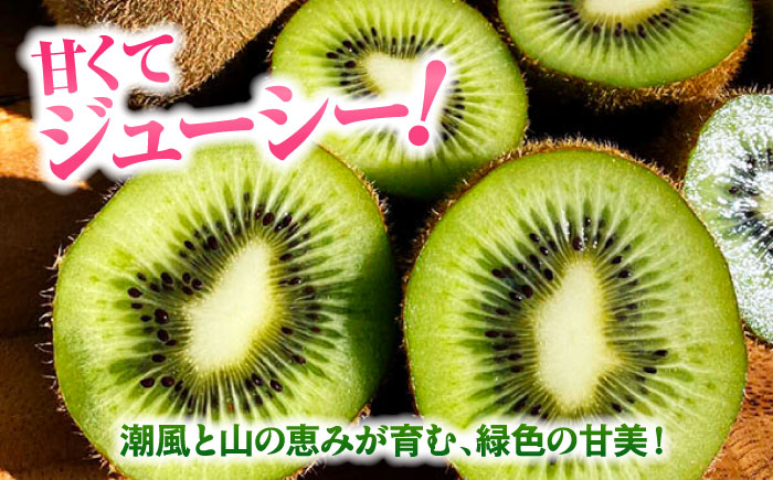 キウイフルーツヘイワード 大玉150g以上 16個 甘熟パック入り・フルーツキャップ付き 愛媛県大洲市/西村農園 キウイ 果物 くだもの フルーツ 生産量日本一 [AGDC003]