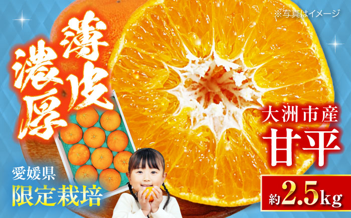 愛媛オリジナル柑橘!大玉「秀品 甘平」 3L~5L 約2.5kg 7から10個 愛媛県大洲市/株式会社フジ・アグリフーズ [AGBA006]みかん オレンジ フルーツ ミカン 果物 かき氷 みかんジュース 愛媛みかん こたつ みきゃん スムージー デザート おやつ ヨーグルト
