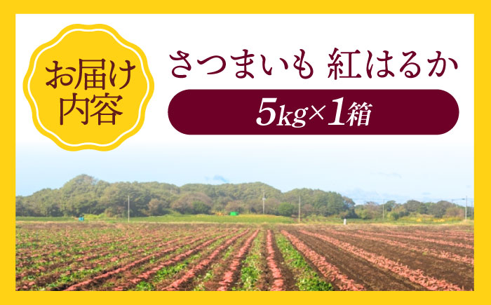 さつまいも（紅はるか）5kg 愛媛県大洲市/たいき産直市愛たい菜 [AGAP020]