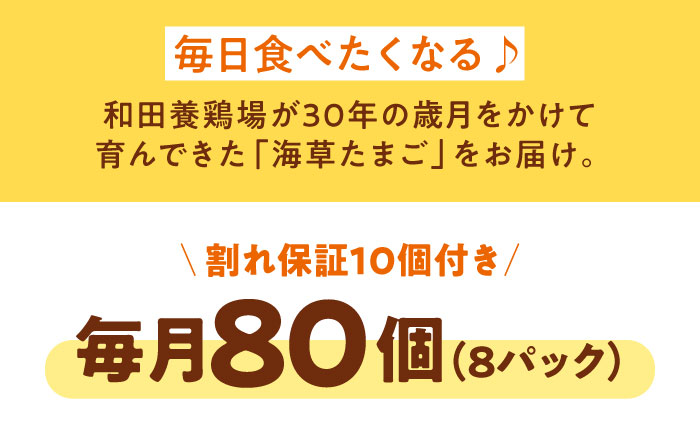 【全6回定期便】平飼い 海草たまご 8パック（80個入り）割れ保証あり 愛媛県大洲市/和田養鶏場 卵 たまご 鶏卵 卵料理 玉子 [AGDQ012]
