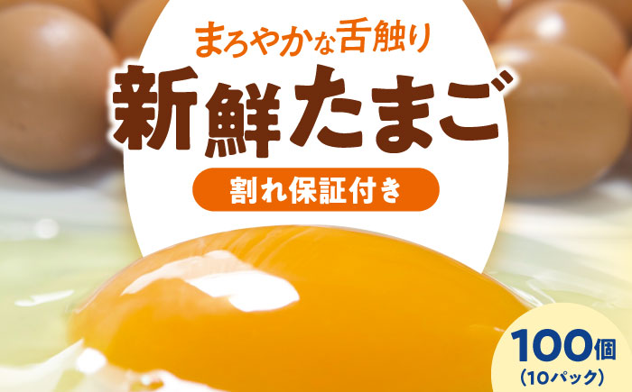 平飼い 海草たまご 10パック（100個入り）割れ保証あり 愛媛県大洲市/和田養鶏場 卵 たまご 鶏卵 卵料理 玉子 [AGDQ004]