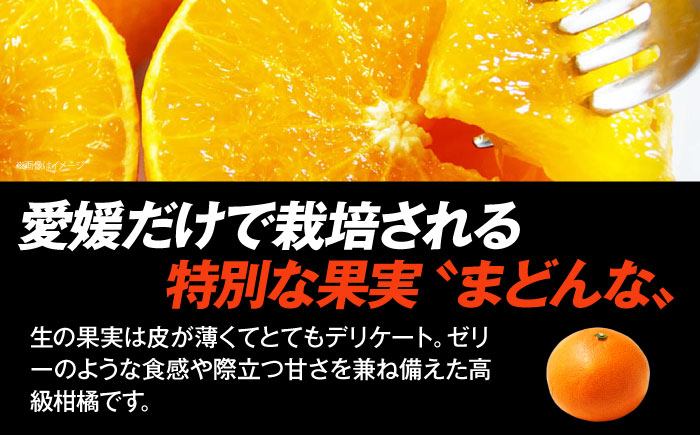 【2025年1月中旬から順次発送】まどんなジュース　2本　愛媛県大洲市/ORANGE LINE 果物 みかんジュース デザート 果汁100％ ストレートジュース オレンジジュース [AGCT002]