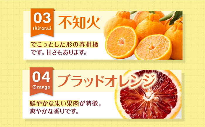 【先行予約】【3月頃発送】柑橘おまかせセット 愛媛県大洲市/沢井青果有限会社 [AGBN053]