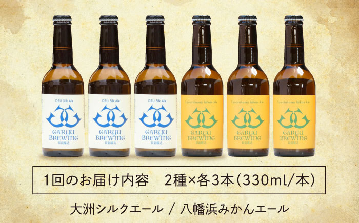 【年末限定】【全3回定期便】産地直送！ご当地ビール！臥龍クラフトビール（愛媛県南予Ver.）2種計6本セット　愛媛県大洲市/株式会社　アライ [AGAY020]