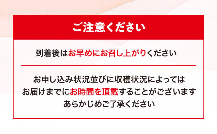 【先行予約】【4月上旬から順次発送】 トマト 桃太郎 12から15玉 約2.3kg 愛媛県大洲市/梶原農園 とまと 大玉トマト 野菜 リコピン 人気 [AGCX003]