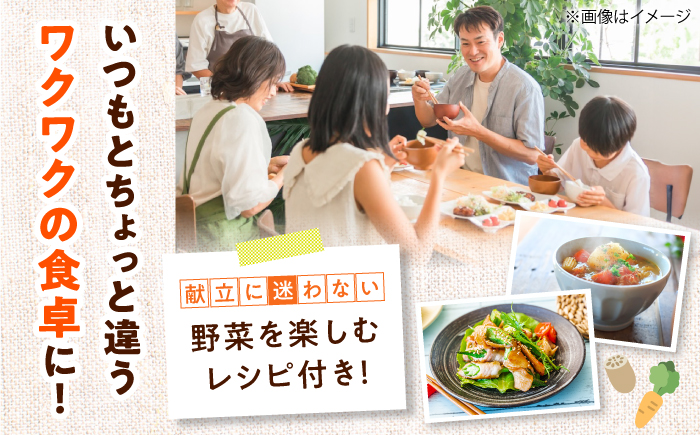 【全6回定期便】生産者の顔が見えるから安心して食べられる！毎回ちがう旬の農産物定期便　愛媛県大洲市/大洲市青年農業者協議会 [AGBL001]サラダ カレー 料理 収穫 ダイエット ヘルシー ブロッコリー きゅうり キャベツ 鍋 健康 とうもろこし 果物 和食 スープ