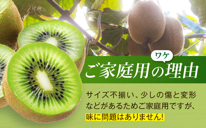 【先行予約】【11月上旬から順次発送】【ご家庭用】キウイフルーツ ヘイワード 18個 甘熟パック入り 愛媛県大洲市/西村農園 キウイ 果物 くだもの フルーツ 訳アリ [AGDC007]