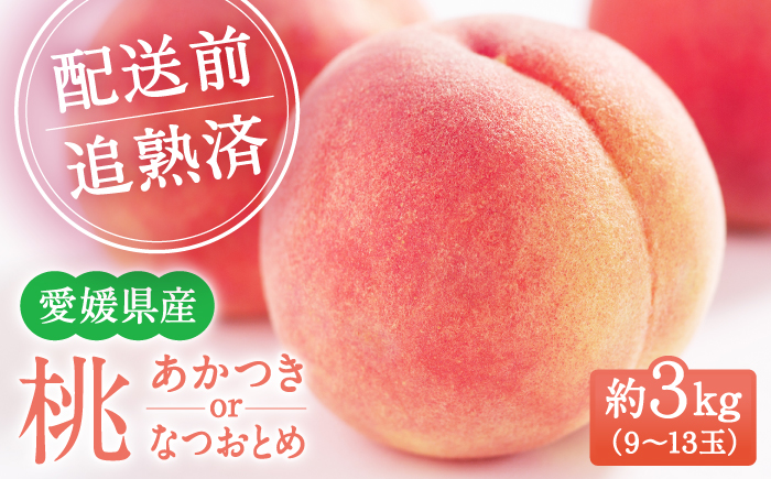 【先行予約】【2026年7月中旬から順次発送】桃果樹園からの恵み！あまい香りとあふれる果汁！厳選の桃9〜13玉入り 愛媛県大洲市/幸野観光なし園［AGBD006］