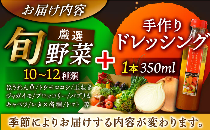 【シェフの目線】栽培期間中農薬不使用！旬のお野菜セット×手作り玉ねぎドレッシング（1本）　愛媛県大洲市/有限会社ヒロファミリーフーズ [AGBX001]野菜 サラダ カレー 農業 トマト 料理 きゅうり 鍋 とうもろこし 果物 ミニトマト 健康 和食 洋食 中華 産地直送 国産 安心安全 JAS認定 有機無農薬 有機栽培 減農薬栽培 有機JAS オーガニック