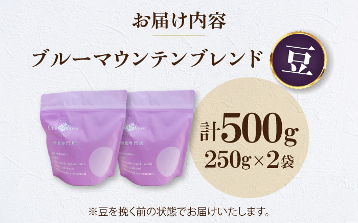 【コーヒー豆】 ブルーマウンテンブレンド 500g （250g×2袋） 珈琲 コーヒー豆 コーヒー ドリップ ドリップ珈琲 飲料 愛媛県大洲市/株式会社日珈 [AGCU007-1]