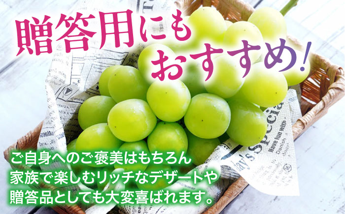 【先行予約】【2025年8月中旬から順次発送】シャインマスカット2kg（4から6房）愛媛県大洲市/有限会社ふじブドウ園 果物 くだもの フルーツ 葡萄 ぶどう マスカット [AGDB002]