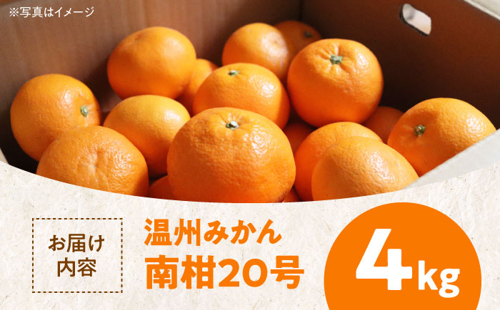 【先行予約】【12月上旬から順次発送】【まごころ手選り手詰め】温州みかん 南柑20号 約4kg 愛媛県大洲市/カームシトラス みかん ミカン 蜜柑 果物 くだもの フルーツ