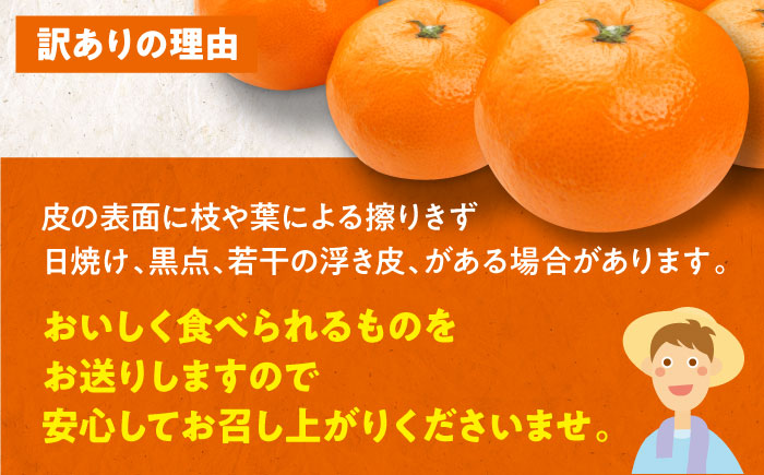 【先行予約】【12月中旬から順次発送】【ちょっと訳あり】温州みかん 愛媛県産 南柑20号 10kg 温州みかん みかん 柑橘 愛媛みかん　愛媛県大洲市/有限会社カーム/カームシトラス [AGBW009]