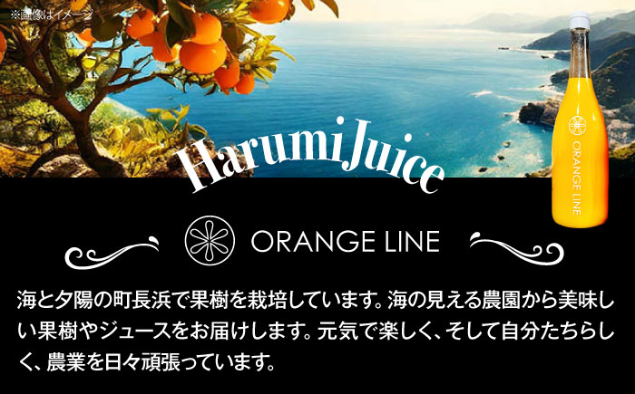 【先行予約】【2025年4月上旬から順次発送】はるみジュース　2本　愛媛県大洲市/ORANGE LINE 果物 みかんジュース デザート 果汁100％ ストレートジュース オレンジジュース [AGCT001]