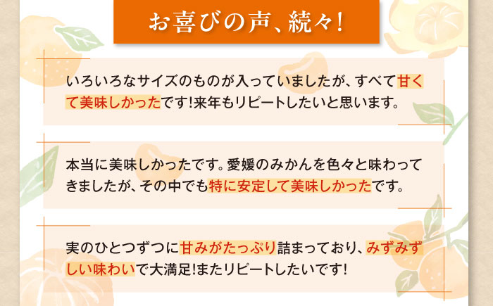 ãå
è¡äºçŽãã2026幎1æäžæ¬ããé æ¬¡çºéãããŸãããæéžãæè©°ããæž©å·ã¿ãã åæ20å· çŽ4kg æåªç倧掲åž/ã«ãŒã ã·ãã©ã¹ ã¿ãã ãã«ã³ èæ æç© ãã ãã® ãã«ãŒã