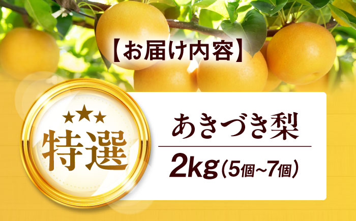 【先行予約】【2025年9月中旬から順次発送】 特選 あきづき 梨2kg（5個から7個入り）愛媛県大洲市/幸野観光なし園  梨 なし ナシ 果物 フルーツ 秋果物[AGBD008]
