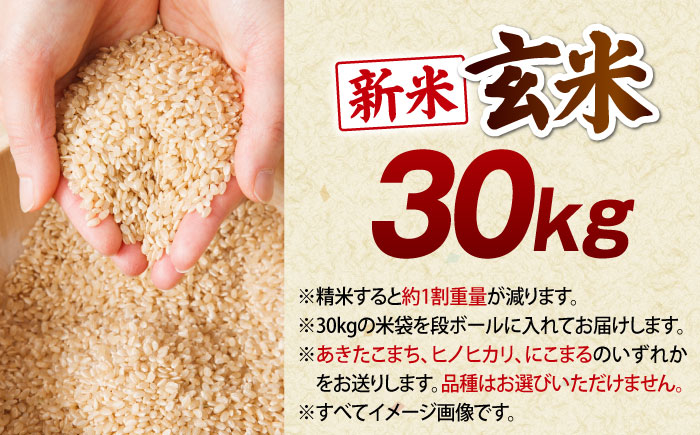 令和7年産】【新米】玄米 30kg 愛媛県大洲市/よっちゃん農園 げんまい