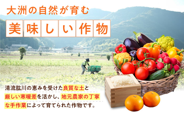【全6回定期便】生産者の顔が見えるから安心して食べられる！毎回ちがう旬の農産物定期便　愛媛県大洲市/大洲市青年農業者協議会 [AGBL001]サラダ カレー トマト 料理 収穫 ダイエット ヘルシー ブロッコリー きゅうり キャベツ 鍋 健康 とうもろこし 果物 和食 スープ ミニトマト