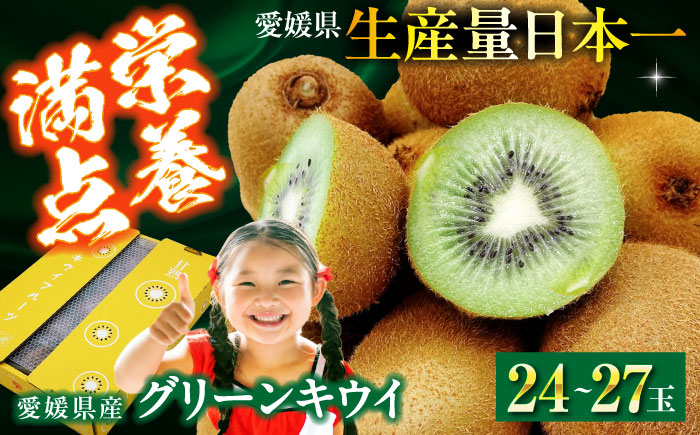 【先行予約】【2026年1月中旬から順次発送】グリーンキウイ 24玉〜27玉入　愛媛県大洲市/株式会社フジ・アグリフーズ [AGBA009] キウイ きうい キューイ kiwi ヘイワード