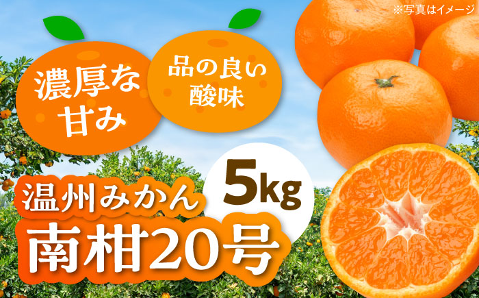 【先行予約】【12月上旬から順次発送】本場ならではの品質！柑橘王国愛媛県産温州みかん 南柑20号 5kg　愛媛県大洲市/有限会社カーム/カームシトラス [AGBW001]みかん オレンジ フルーツ ミカン 果物 愛媛みかん こたつ みきゃん スムージー デザート おやつ ヨーグルト 料理