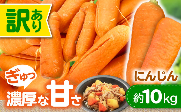 訳アリ にんじん 10kg 愛媛県大洲市/株式会社誠実村 [AGER001]