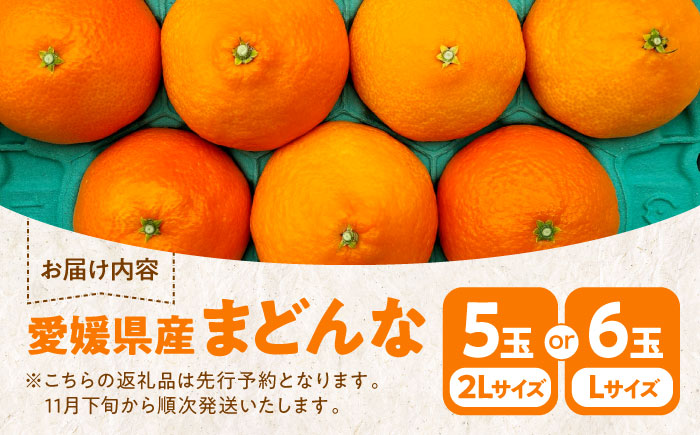 【先行予約】【11月下旬から順次発送】愛媛県産 峯田農園のとろける宝石柑橘「まどんな」2Lサイズ5玉又はLサイズ6玉　愛媛県大洲市/峯田農園 [AGBT007]オレンジ フルーツ みかん ミカン 果物 スムージー デザート おやつ ヨーグルト 調味料 ドレッシング 料理