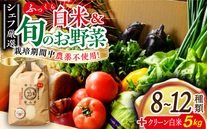 【シェフの目線】栽培期間中農薬不使用！旬のお野菜セット+クリーン白米【ふるさと納税限定】愛媛県大洲市/有限会社ヒロファミリーフーズ [AGBX009]サラダ カレー トマト 料理 ブロッコリー きゅうり キャベツ 健康 とうもろこし 果物 和食 スープ ミニトマト おこめ コメ