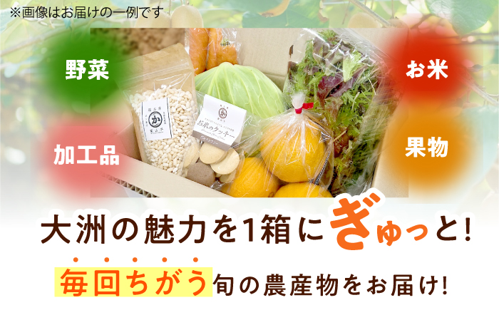 【全6回定期便】生産者の顔が見えるから安心して食べられる！毎回ちがう旬の農産物定期便　愛媛県大洲市/大洲市青年農業者協議会 [AGBL001]サラダ カレー 料理 収穫 ダイエット ヘルシー ブロッコリー きゅうり キャベツ 鍋 健康 とうもろこし 果物 和食 スープ