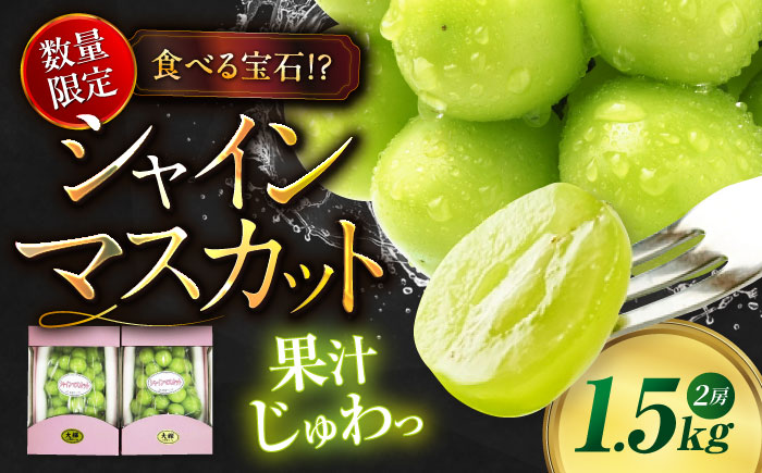 【先行予約】【9月中旬から順次発送】大粒シャインマスカット 2房（約1.5kg）マスカット シャインマスカット ぶどう お取り寄せ 産地直送 愛媛県大洲市/愛媛たいき農業協同組合[AGAO014]