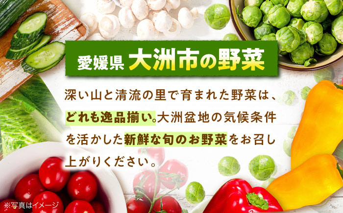 【先行予約】【4月上旬から順次発送】 トマト 桃太郎 12から15玉 約2.3kg 愛媛県大洲市/梶原農園 とまと 大玉トマト 野菜 リコピン 人気 [AGCX003]