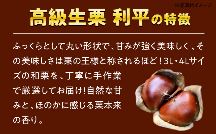 【9月中旬から順次発送】栗の王様！あじさい農園の高級生栗「利平」（1kg）　愛媛県大洲市/あじさい農園 [AGAE012]くり クリ モンブラン マロン 秋の味覚 和菓子 栗ご飯 栗ごはん 栗きんとん ケーキ スイーツ クリ 手作りスイーツ素材 おやつ 材料