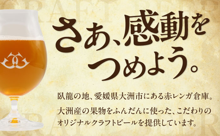クラフトビール【全3回定期便】飲み比べ6種セット 計6本　愛媛県大洲市/株式会社　アライ [AGAY066]