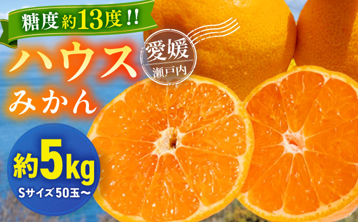 【先行予約】【夏限定】愛媛県産 峯田農園のあま〜い「ハウスみかん」5kg　愛媛県大洲市/峯田農園 [AGBT004]みかん オレンジ フルーツ ミカン 果物 かき氷 みかんジュース 愛媛みかん こたつ みきゃん スムージー デザート おやつ ヨーグルト 調味料 ドレッシング 隠し味 料理