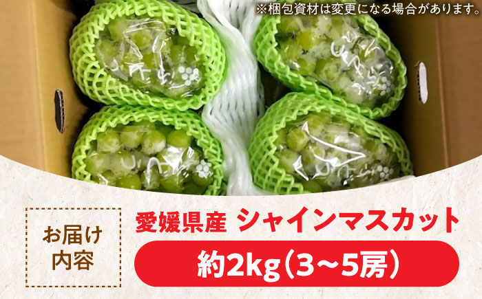 【先行予約】【2026年9月上旬より順次発送】秀品 シャインマスカット約2kg（3〜5房）　愛媛県大洲市/沢井青果有限会社 [AGBN006] シャインマスカット 葡萄 マスカットぶどう 葡萄 フルーツ 