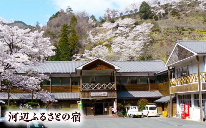 【電子クーポン】河辺ふるさとの宿・才谷屋　共通宿泊利用　3,000円分 愛媛県大洲市/株式会社ゆうとぴあ河辺 [AGDO004]