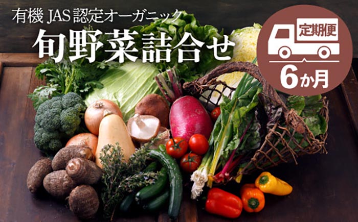 【全6回定期便】【シェフの目線】栽培期間中農薬不使用！大満足 旬のお野菜セット　愛媛県大洲市/有限会社ヒロファミリーフーズ [AGBX004]野菜 サラダ カレー 農業 トマト 料理  きゅうり 鍋 とうもろこし 果物 ミニトマト 農園 新鮮 旬の味 健康 和食 洋食 中華 産地直送 国産 安心安全