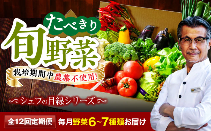 【全12回定期便】 【シェフの目線】　野菜 6から7種　単身・二人暮らし用セット　愛媛県大洲市/有限会社ヒロファミリーフーズ 野菜 やさい 少量セット 食べきり [AGBX046]