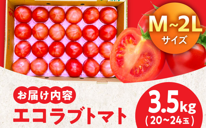 自然な美味しさ、たっぷり味わう。エコラブトマトMから2Lサイズ（20から24玉）約3.5kg　愛媛県大洲市/沢井青果有限会社 [AGBN012]パスタ 野菜 サラダ チーズ リコピン ランチ 夏野菜  とまと カレー トマトソース トマトジュース サンドイッチ トマトラーメン 料理