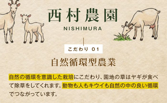 【先行予約】【11月上旬から順次発送】【ご家庭用】キウイフルーツ ヘイワード 10個 甘熟パック入り 愛媛県大洲市/西村農園 キウイ 果物 くだもの フルーツ 訳アリ [AGDC006]