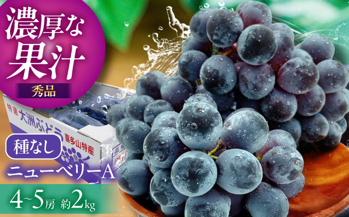 【先行予約】【8月中旬から順次発送】大洲市産　ニューベリーA　4-5房入　2.0kg 愛媛県大洲市/株式会社フジ・アグリフーズ [AGBA024]