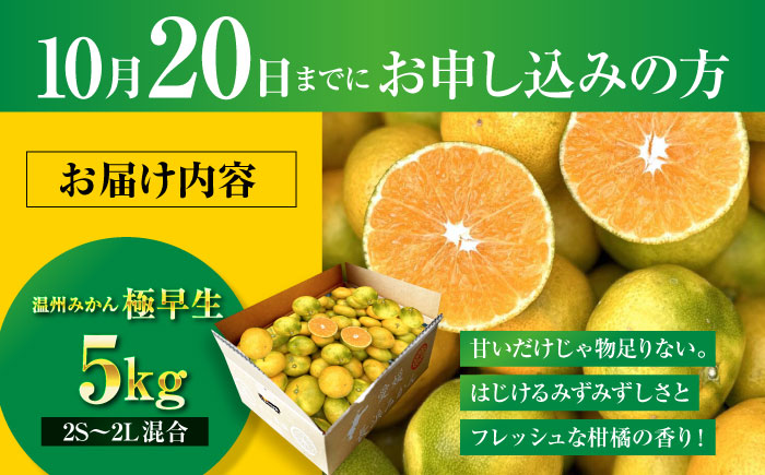 【先行予約】【10月上旬より順次配送】　酸味さわやか愛媛じるし! 温州みかん 5kg （2Sから2L混合サイズ） みかん 愛媛 みかん ジュース 果物 くだもの フルーツ 愛媛県大洲市/玉川農園 [AGBC005]