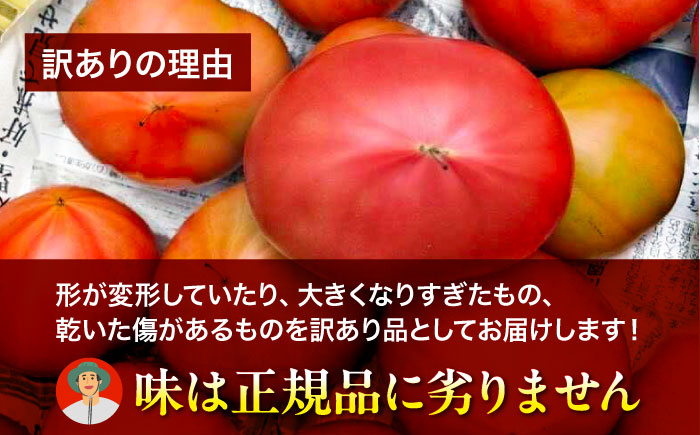 【先行予約】【4月中旬から順次発送】訳ありトマト 桃太郎ネクスト 5〜6個入り（約2kg未満） 愛媛県大洲市/にのみや農園 トマト とまと tomato 野菜 旬野菜 春夏野菜 [AGDG008]