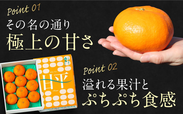 【先行予約】【2026年2月上旬から順次発送】【期間・数量限定】愛媛限定栽培！ 甘平（かんぺい）2L〜4L玉サイズ 約3kg箱入（8玉〜12玉）甘平 みかん 愛媛みかん 柑橘 愛媛県大洲市/愛媛たいき農業協同組合[AGAO010]