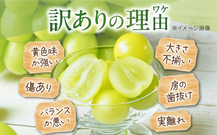 【先行予約】【2026年9月中旬より順次発送】 訳あり シャインマスカット 約2kg（3～5房）シャインマスカット ブドウ 葡萄 果物 フルーツ 愛媛県大洲市/沢井青果有限会社 訳アリ ワケあり わけあり 不揃い [AGBN056]