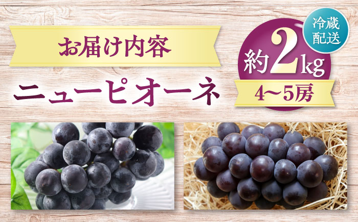 【先行予約】【2026年8月中旬から順次発送】 ニューピオーネ 4から5房 約2kg 愛媛県大洲市/有限会社西山青果　フルーツ 果物 ぶどう ピオーネ [AGAR024]