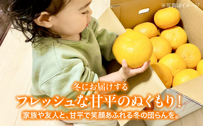 愛媛オリジナル柑橘！大玉「秀品 甘平」 3L~5L 約2.5kg 7から10個　愛媛県大洲市/株式会社フジ・アグリフーズ [AGBA006]みかん オレンジ フルーツ ミカン 果物 かき氷 みかんジュース 愛媛みかん こたつ みきゃん スムージー デザート おやつ ヨーグルト