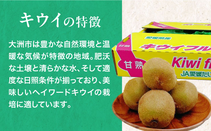 【先行予約】【2025年1月中旬から順次発送】グリーンキウイ 24玉〜27玉入　愛媛県大洲市/株式会社フジ・アグリフーズ [AGBA009] キウイ きうい キューイ kiwi ヘイワードお正月 クリスマス