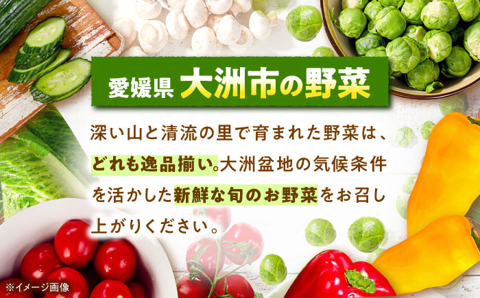 【冷凍】【先行予約】【9月上旬より順次発送】小分けがうれしい！洗い里芋500g×4袋　愛媛県大洲市/沢井青果有限会社 [AGBN039]里芋 和食 朝ごはん 里芋の煮っころがし 里芋の煮物 里芋コロッケ 味噌汁 畑 野菜 新鮮