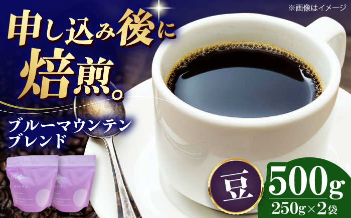 [コーヒー豆] ブルーマウンテンブレンド 500g (250g×2袋) 珈琲 コーヒー豆 コーヒー ドリップ ドリップ珈琲 飲料 愛媛県大洲市/株式会社日珈 [AGCU007-1]