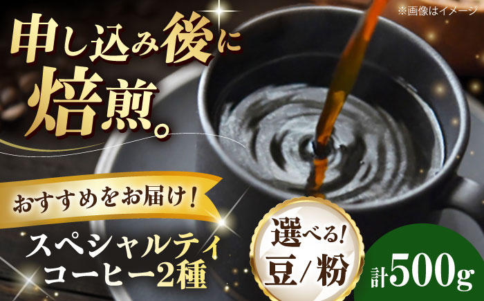 コーヒー豆  スペシャルティコーヒー おすすめ2種セット 各250g 珈琲 コーヒー豆 コーヒー粉 コーヒー ドリップ ドリップ珈琲 飲料 愛媛県大洲市/株式会社日珈 [AGCU027]